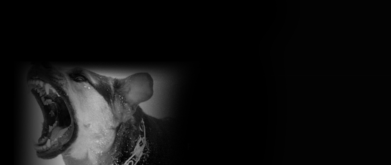 Internal-Page-Banner-DogBites.jpg